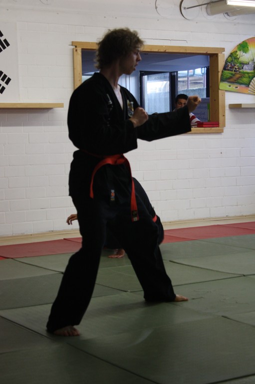 Kuksool Hapkido - Prüfung 5.Juni 2009 - Sportschule Jan Springer