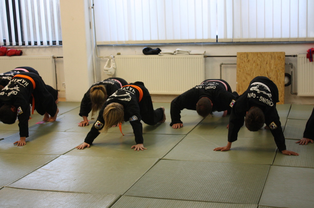 Kuksool Hapkido - Prüfung 5.Juni 2009 - Sportschule Jan Springer