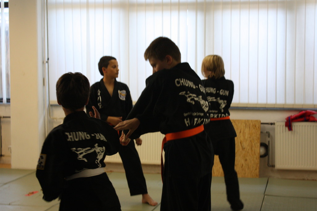 Kuksool Hapkido - Prüfung 5.Juni 2009 - Sportschule Jan Springer