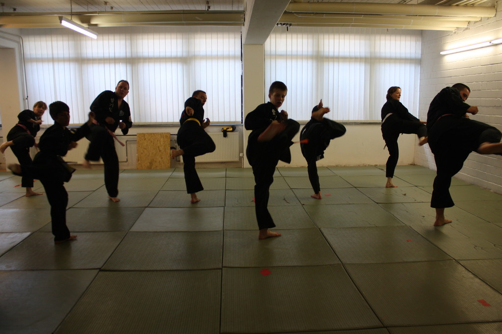 Kuksool Hapkido - Prüfung 5.Juni 2009 - Sportschule Jan Springer