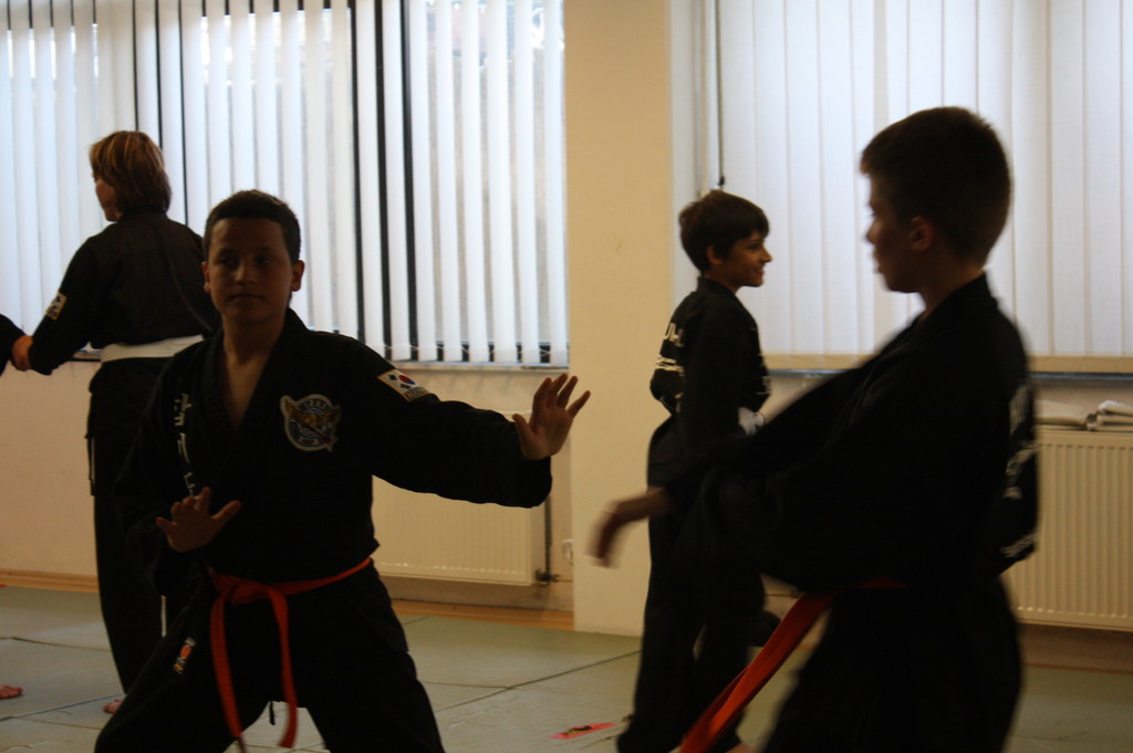 Kuksool Hapkido - Prüfung 5.Juni 2009 - Sportschule Jan Springer