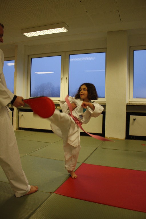 Taekwondo Stade - Prüfung 04.März 2011 - Sportschule Jan Springer