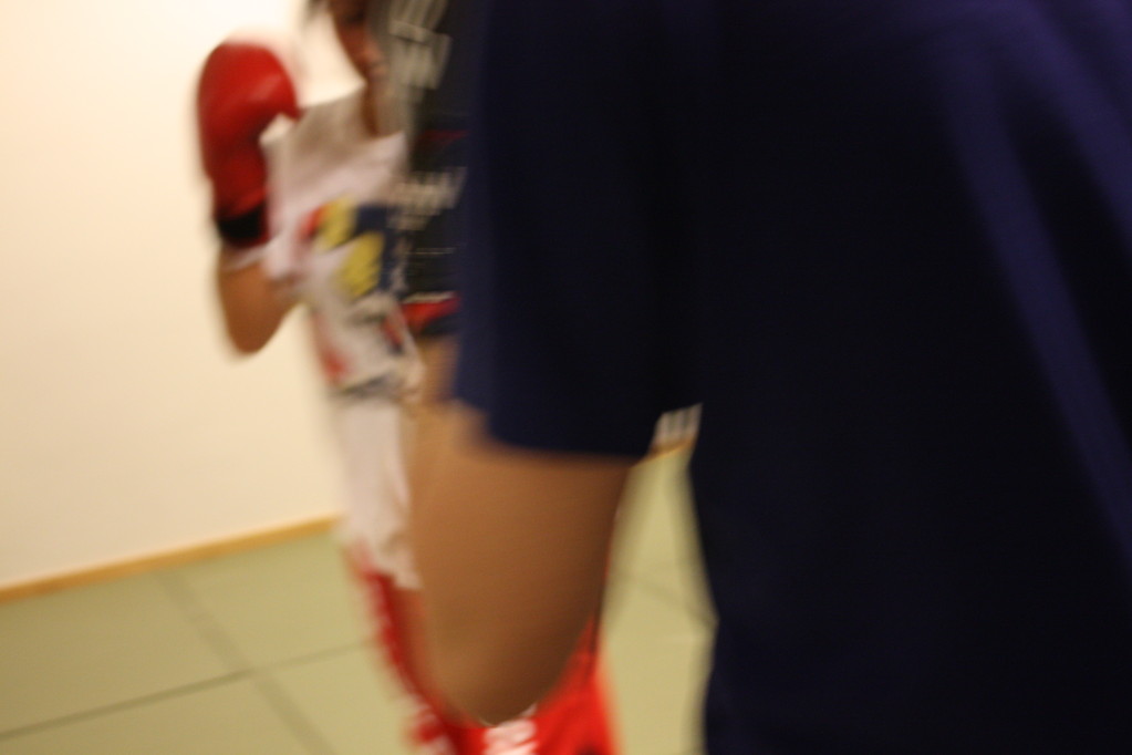 Kick-Thaiboxen, Sportschule Jan Springer