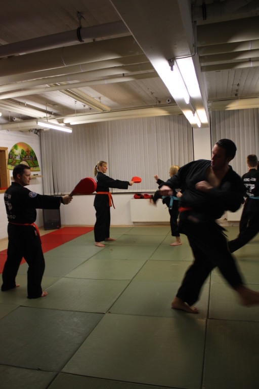 Kuksool Hapkido - Prüfung 4.Dezember 2009 - Sportschule Jan Springer