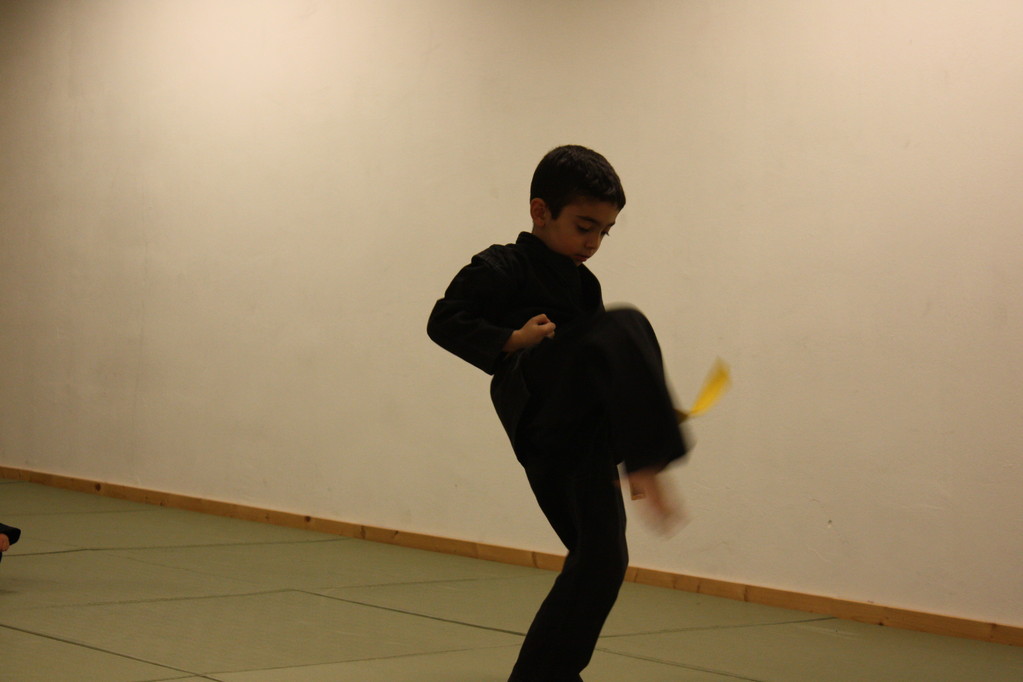 Tiger Kid´s Hapkido Stade - Prüfung 04.März 2011 - Sportschule Jan Springer