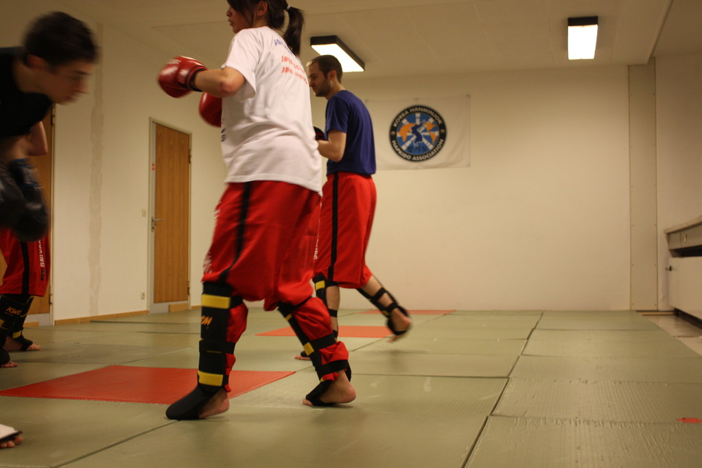 Kick-Thaiboxen, Sportschule Jan Springer