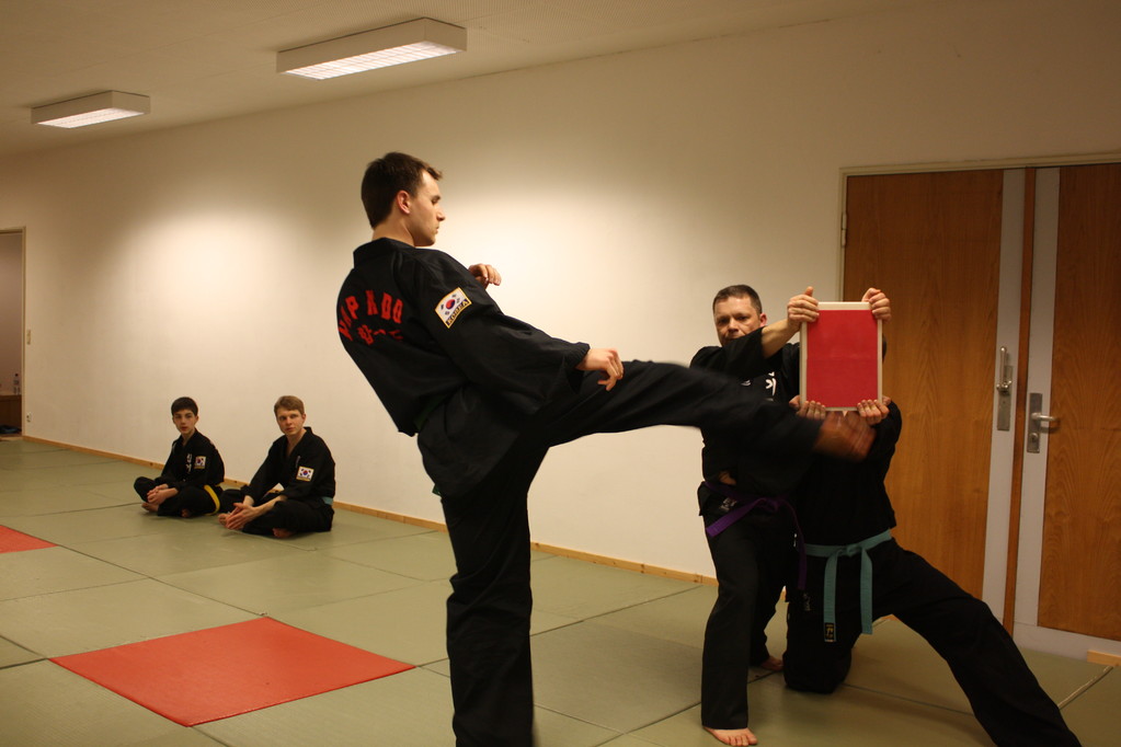 Kuksool Hapkido - Prüfung 04.März 2011 -Sportschule Jan Springer