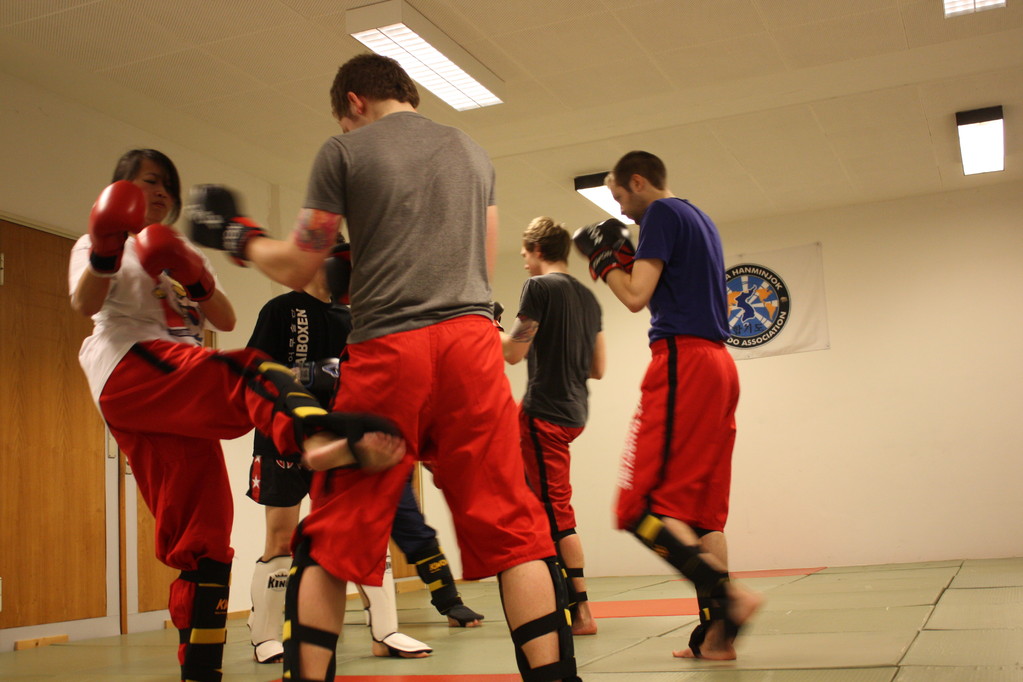 Kick-Thaiboxen, Sportschule Jan Springer