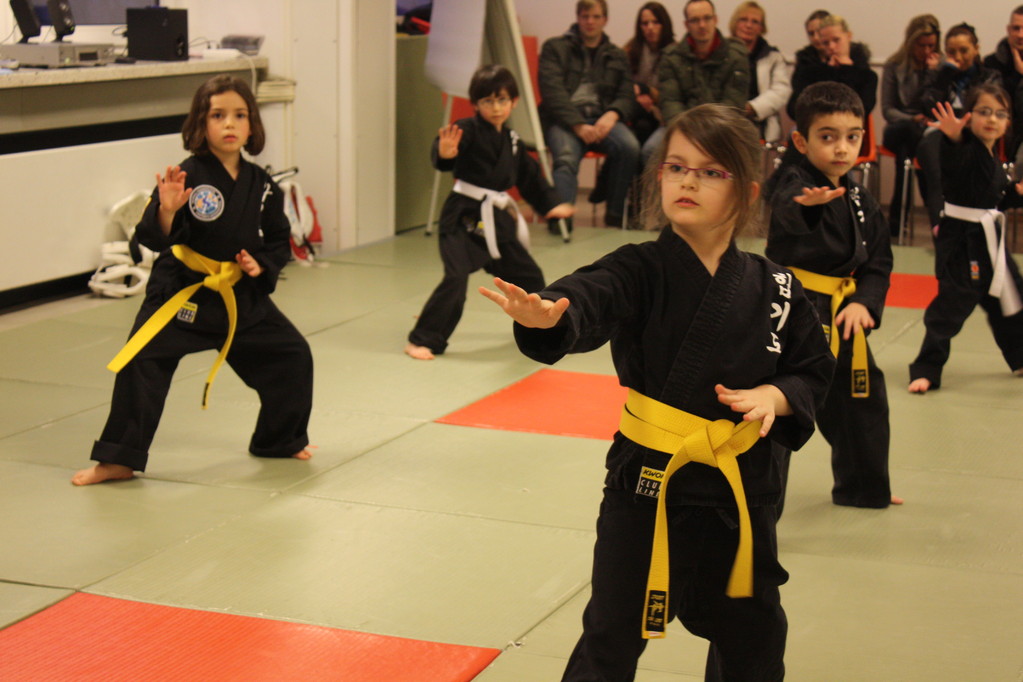 Tiger Kid´s Hapkido Stade - Prüfung 04.März 2011 - Sportschule Jan Springer