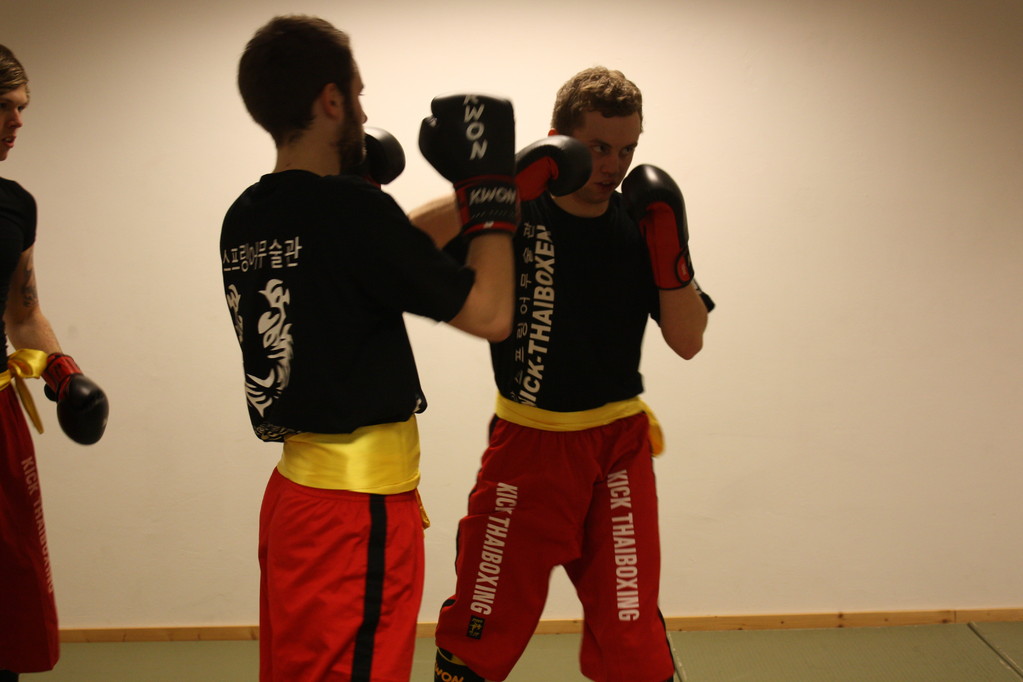 Kick-Thaiboxen, Sportschule Jan Springer