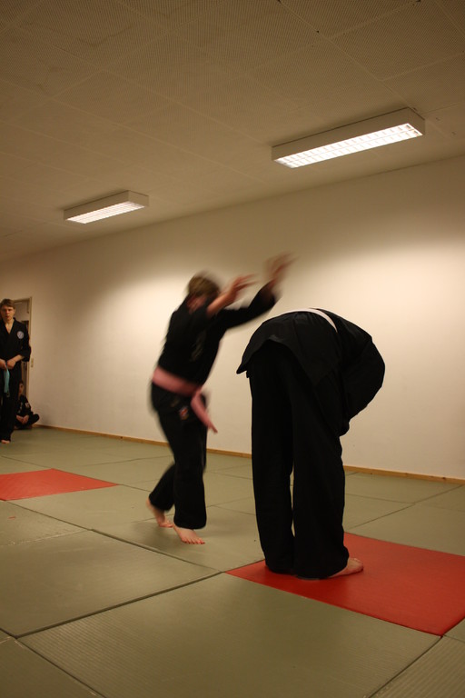 Kuksool Hapkido - Prüfung 04.März 2011 -Sportschule Jan Springer