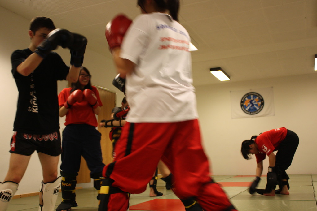 Kick-Thaiboxen, Sportschule Jan Springer