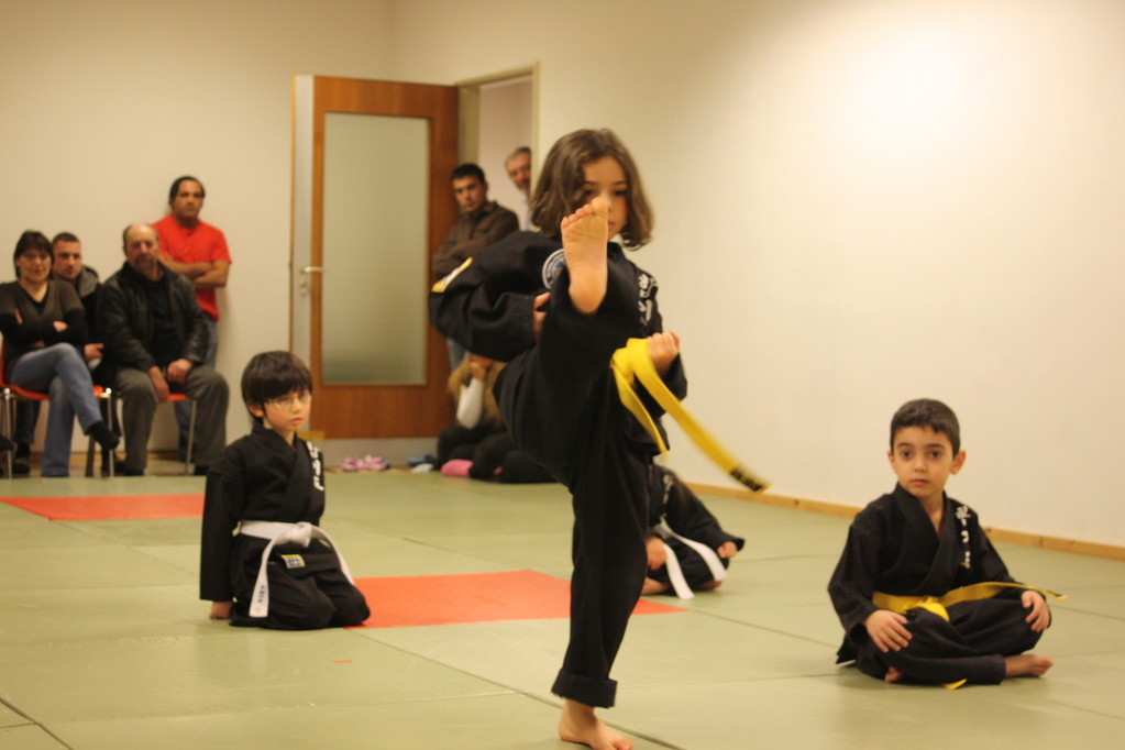 Tiger Kid´s Hapkido Stade - Prüfung 04.März 2011 - Sportschule Jan Springer