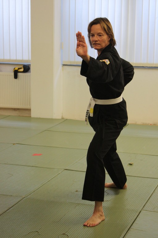 Kuksool Hapkido - Prüfung 5.Juni 2009 - Sportschule Jan Springer