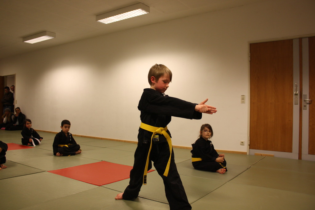 Tiger Kid´s Hapkido Stade - Prüfung 04.März 2011 - Sportschule Jan Springer