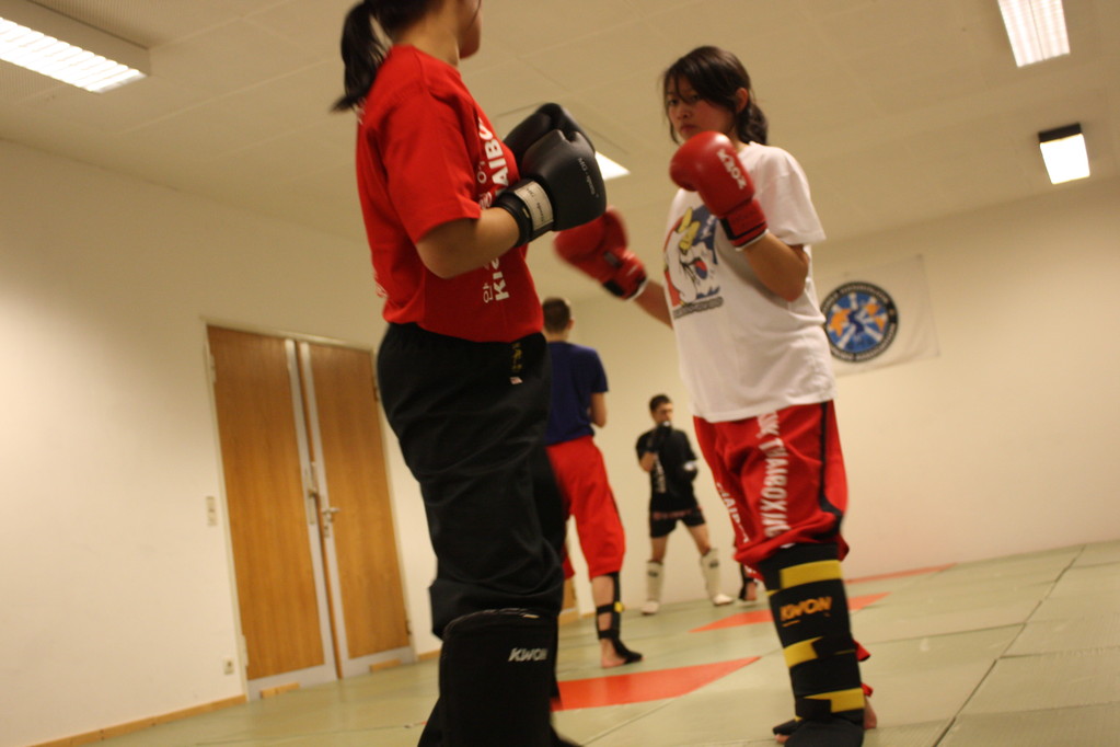 Kick-Thaiboxen, Sportschule Jan Springer