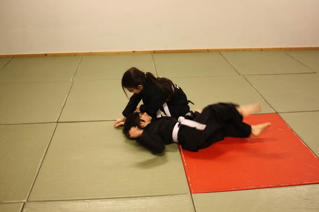 Tiger Kid´s Hapkido Stade - Prüfung 04.März 2011 - Sportschule Jan Springer