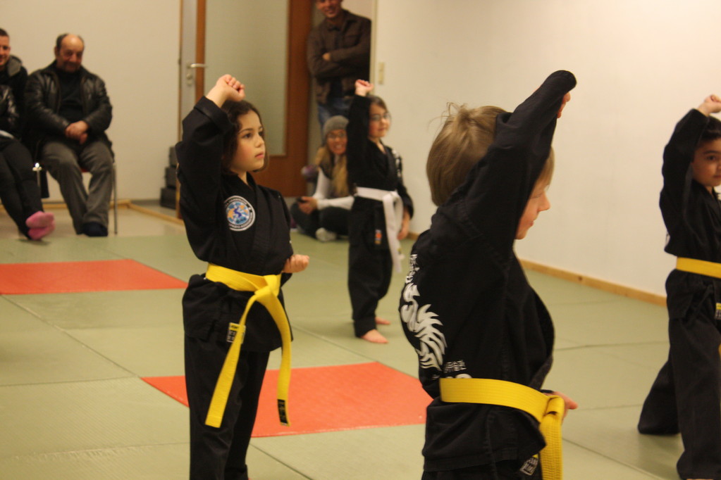 Tiger Kid´s Hapkido Stade - Prüfung 04.März 2011 - Sportschule Jan Springer