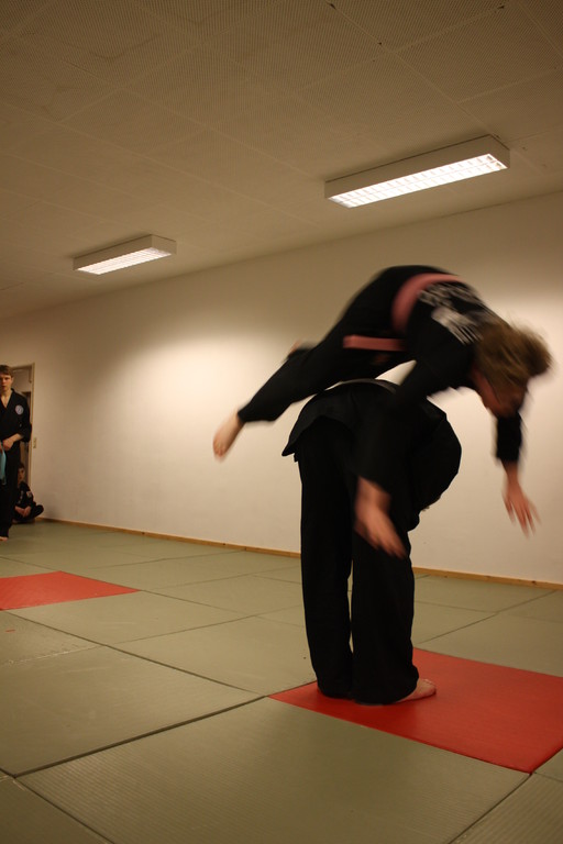 Kuksool Hapkido - Prüfung 04.März 2011 -Sportschule Jan Springer