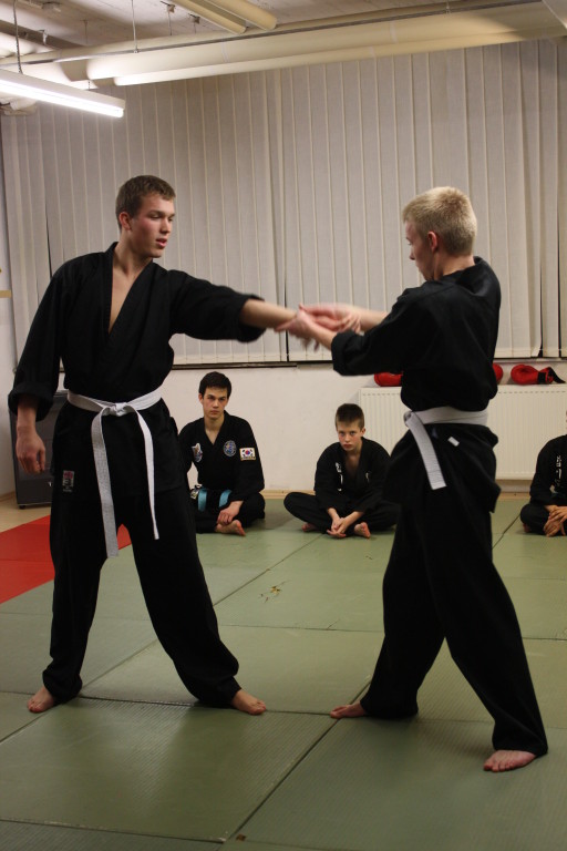 Kuksool Hapkido - Prüfung 4.Dezember 2009 - Sportschule Jan Springer