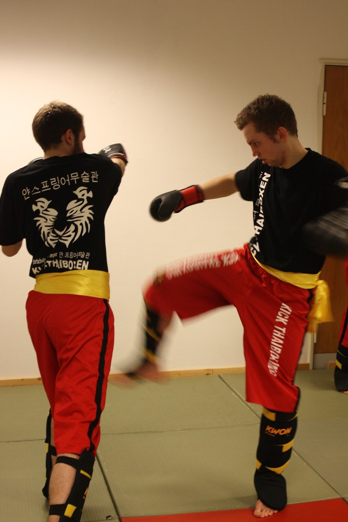 Kick-Thaiboxen, Sportschule Jan Springer