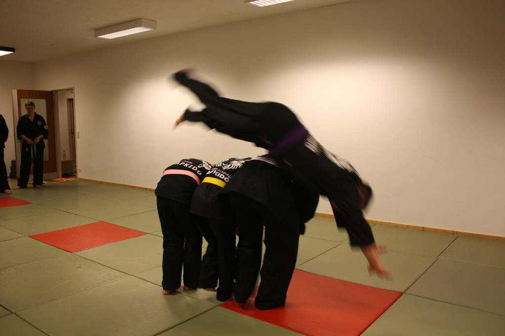 Kuksool Hapkido - Prüfung 04.März 2011 -Sportschule Jan Springer