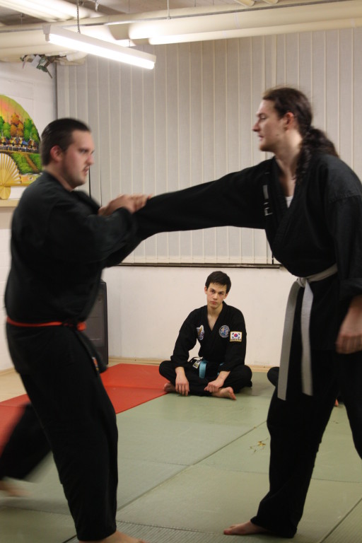 Kuksool Hapkido - Prüfung 4.Dezember 2009 - Sportschule Jan Springer