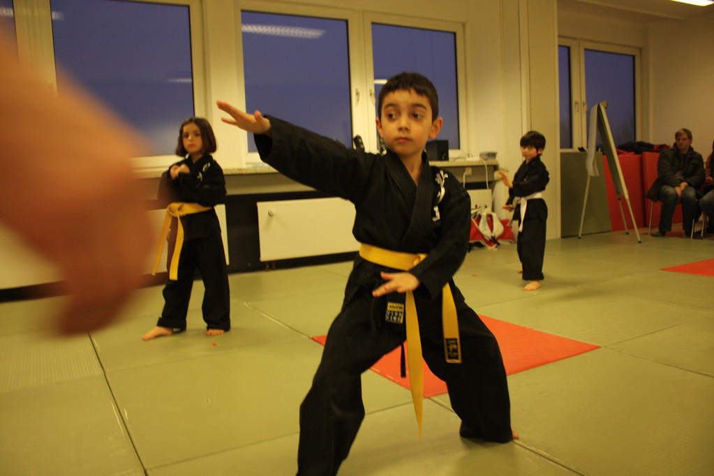 Tiger Kid´s Hapkido Stade - Prüfung 04.März 2011 - Sportschule Jan Springer