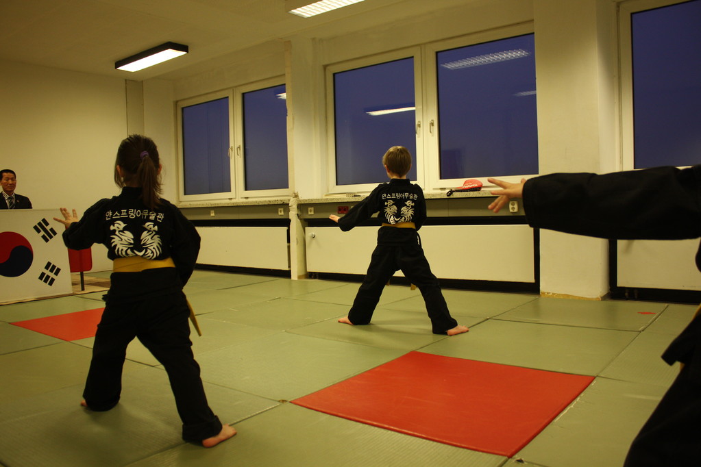 Tiger Kid´s Hapkido Stade - Prüfung 04.März 2011 - Sportschule Jan Springer