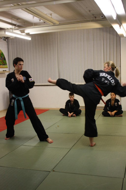 Kuksool Hapkido - Prüfung 4.Dezember 2009 - Sportschule Jan Springer