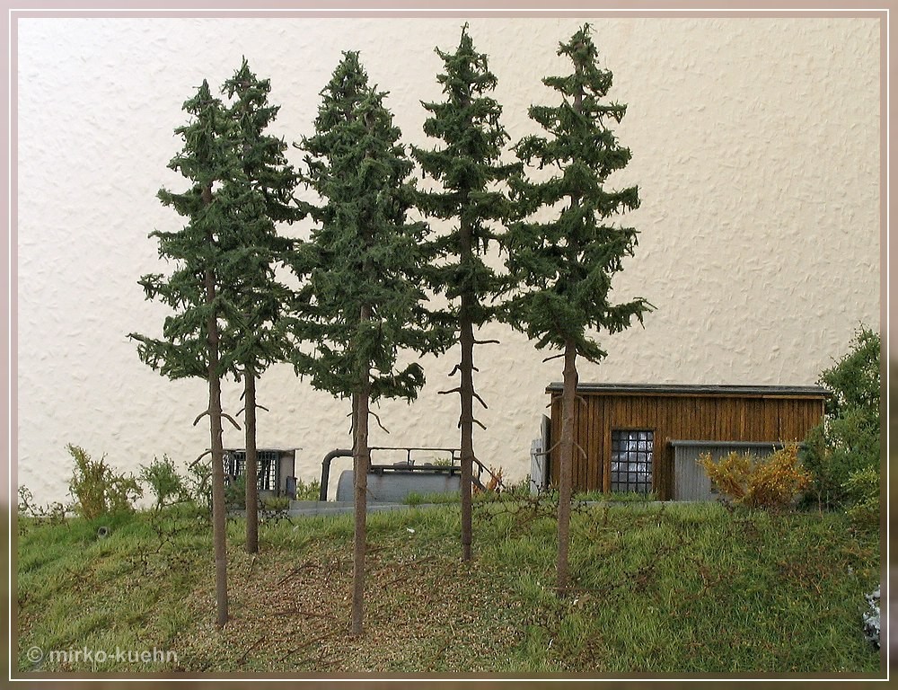 Baum Gedrehter Stamm Baum Gedrehter Stamm