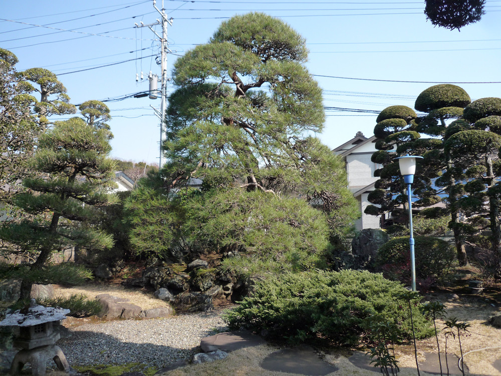 白井邸中庭