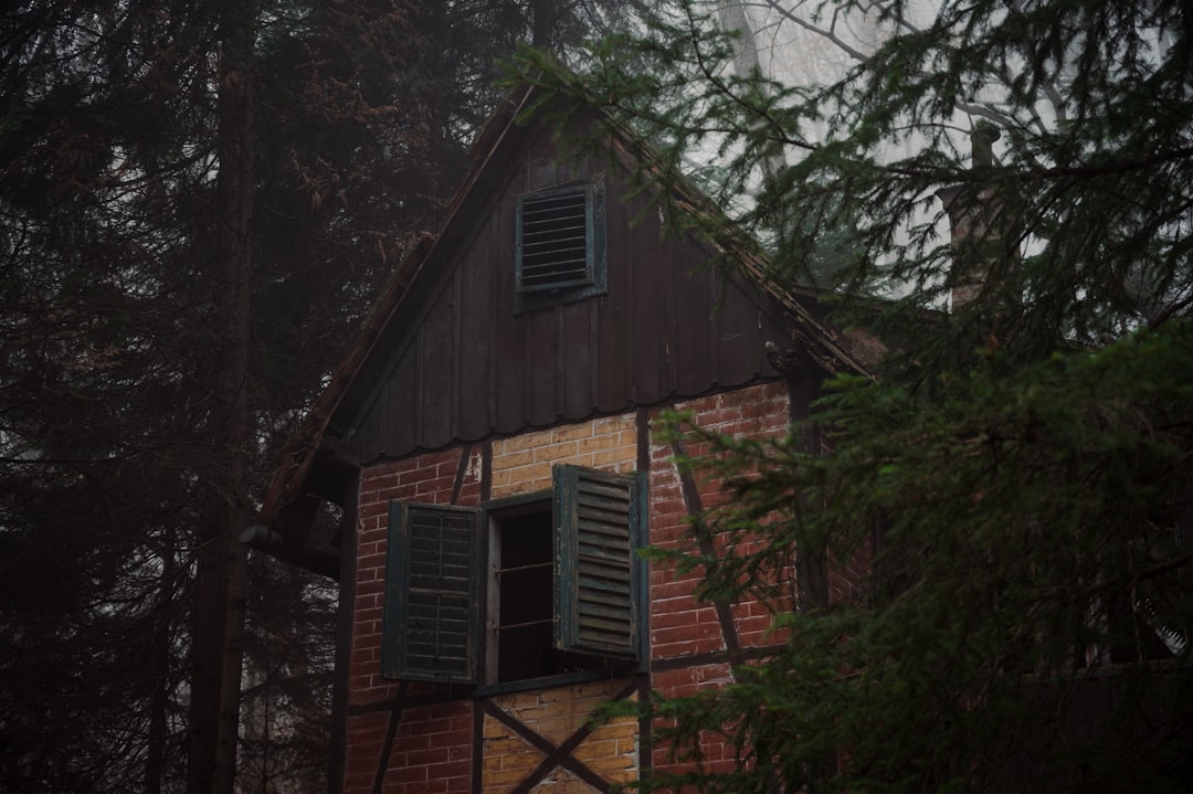 When a Haunting Turns Out to Be Loneliness