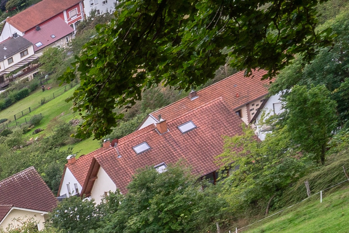 100%-Vergrößerung / 100%-Enlargement f8