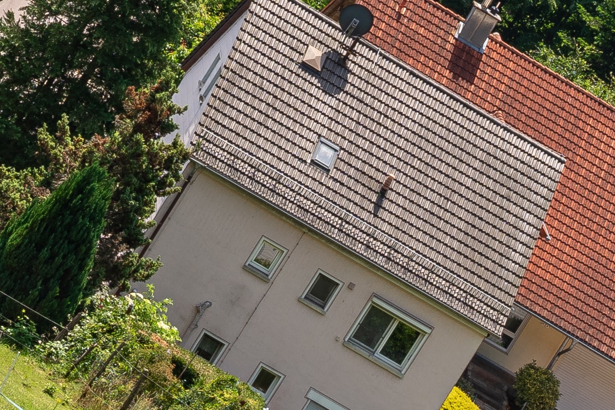 100%-Vergrößerung / 100%-Enlargement f11