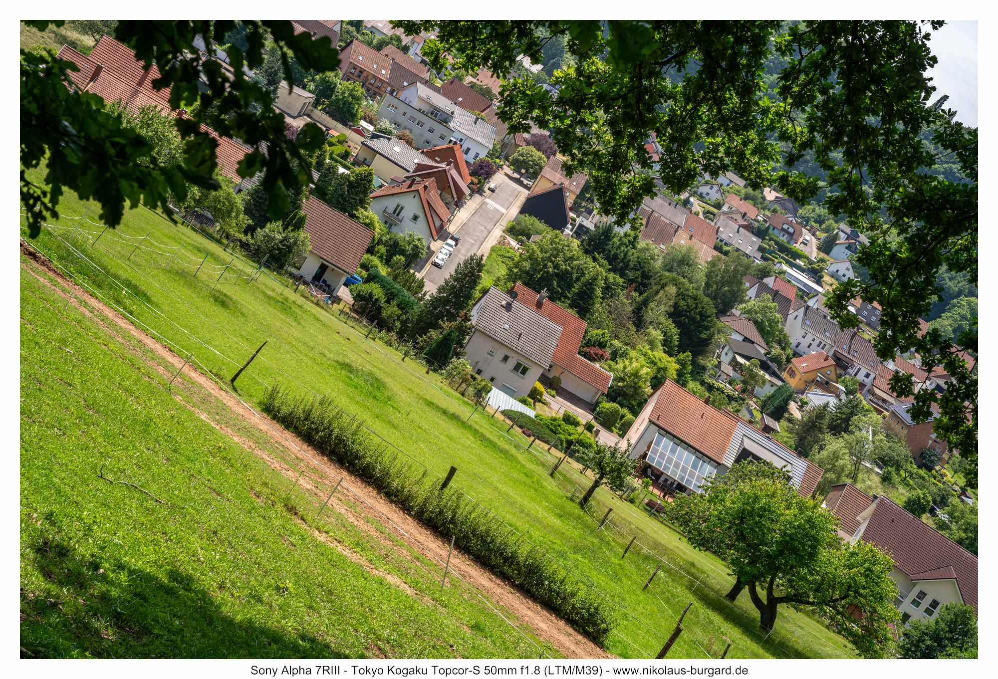 Gesamtbild / Full Picture f11