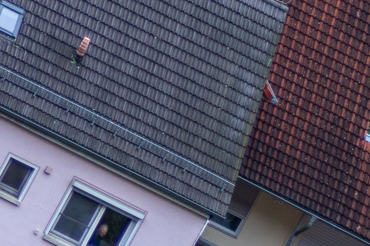100%-Vergrößerung / 100% Enlargement f2