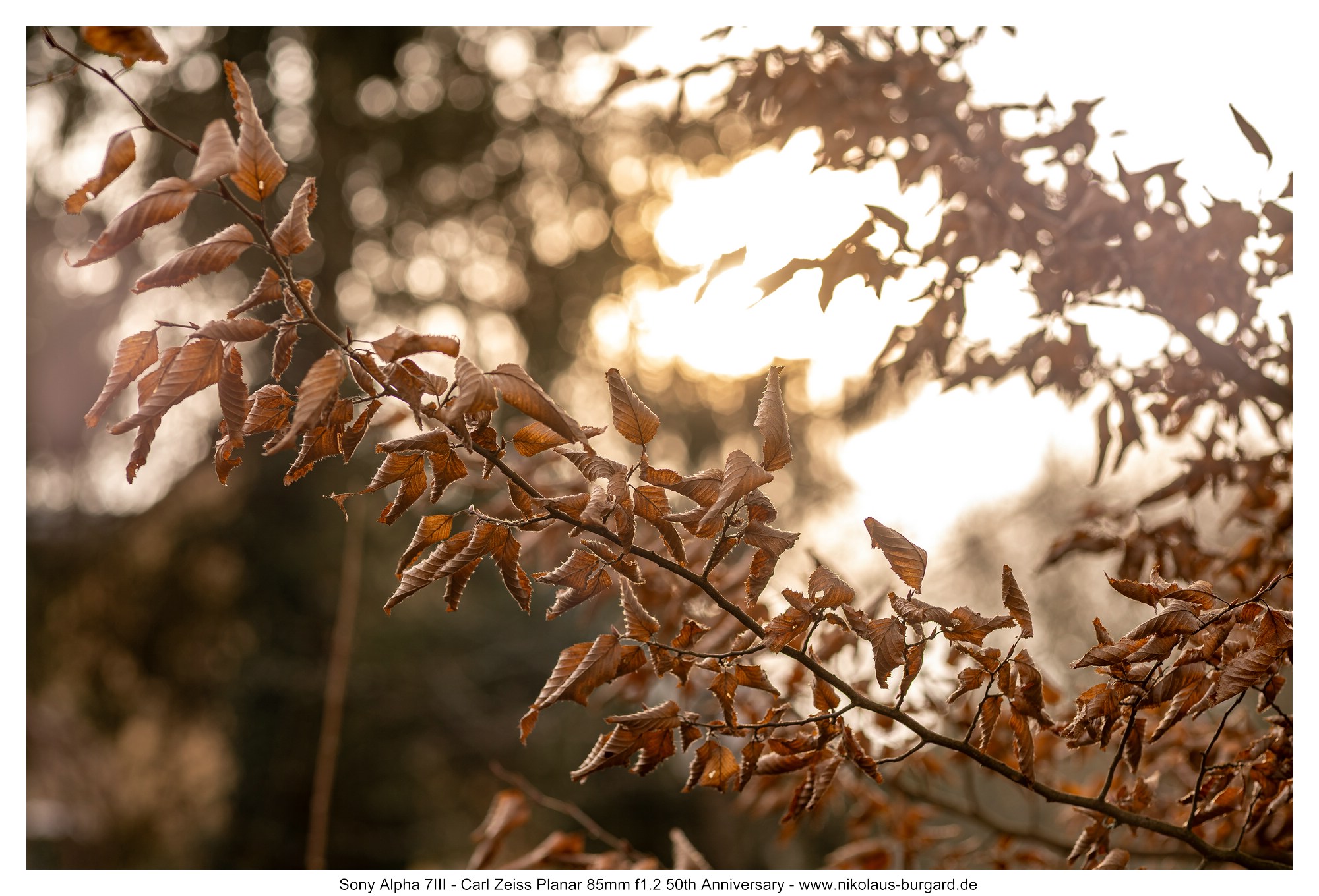 f5.6