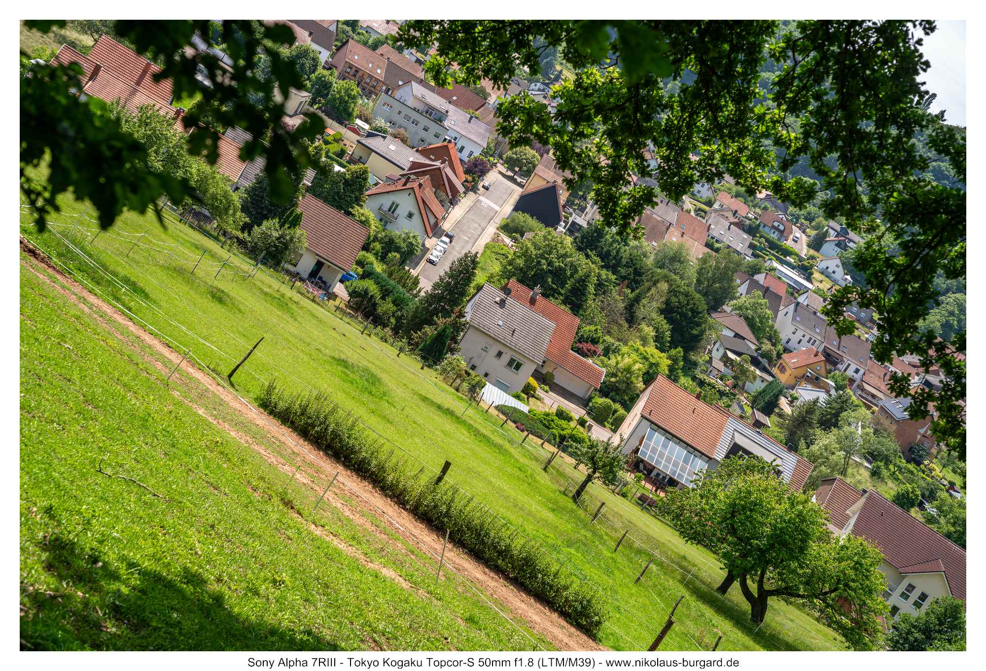 Gesamtbild / Full Picture f5.6