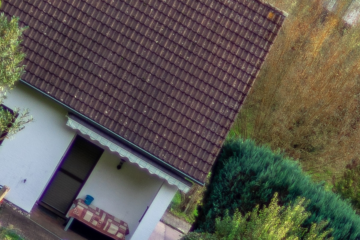 100%-Vergrößerung / 100%-Enlargement f1.2