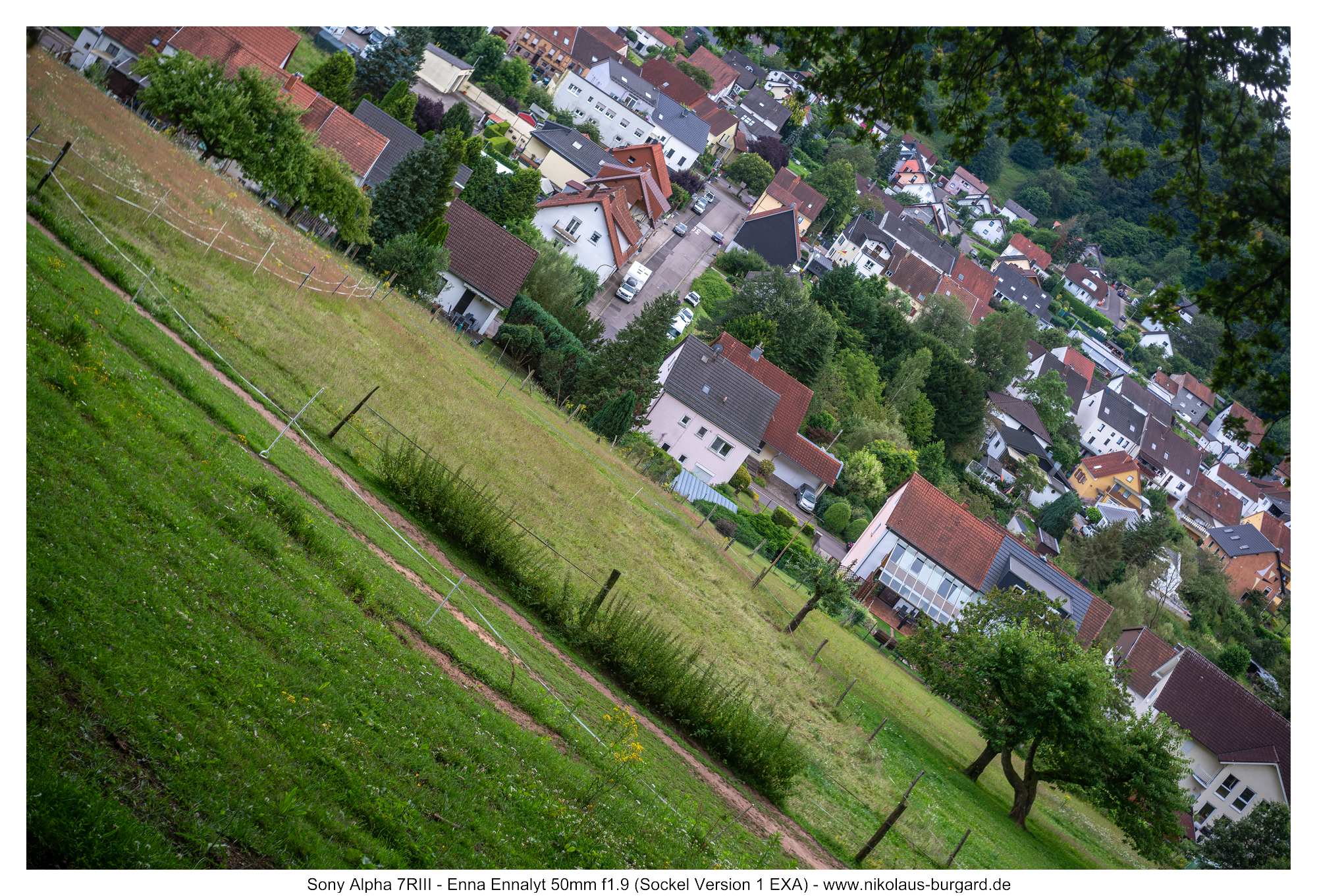 Gesamtbild / Full Picture f2.8