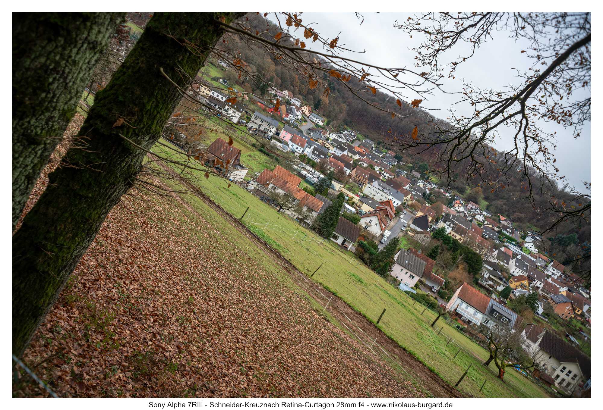 Gesamtbild / Full picture f5.6