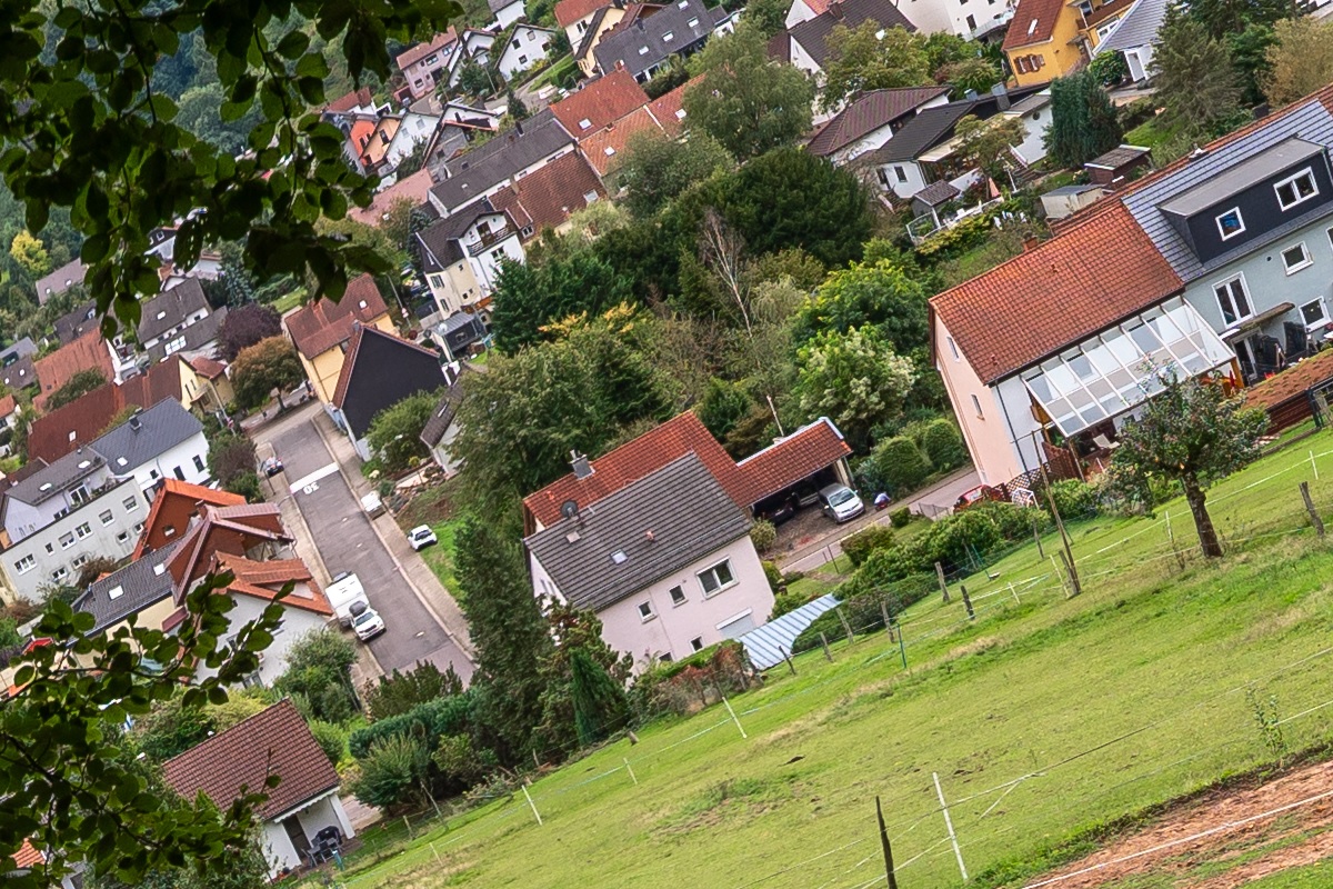 100%-Vergrößerung / 100%-Enlargement f4