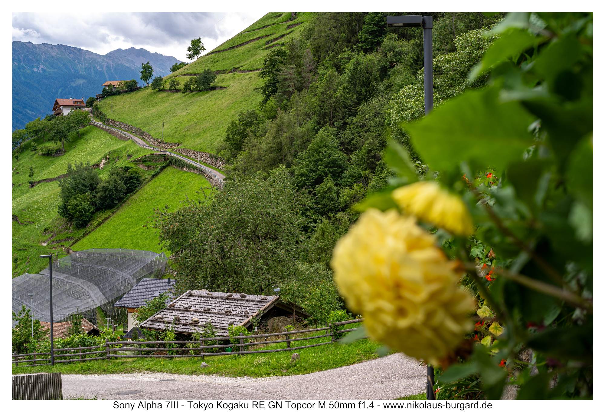 f8 Fokus auf Weg im Hintergrund / Focus on way in background