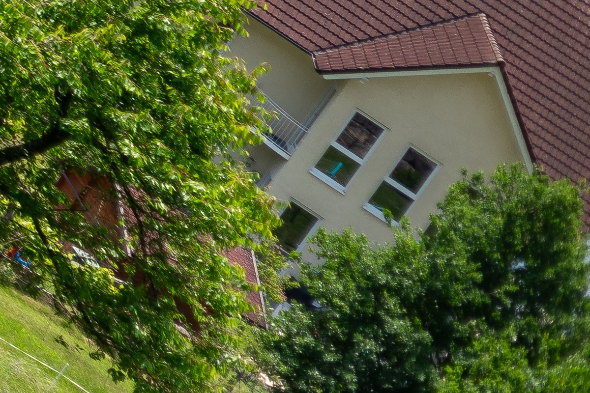 100%-Vergrößerung / 100%-Enlargement f4