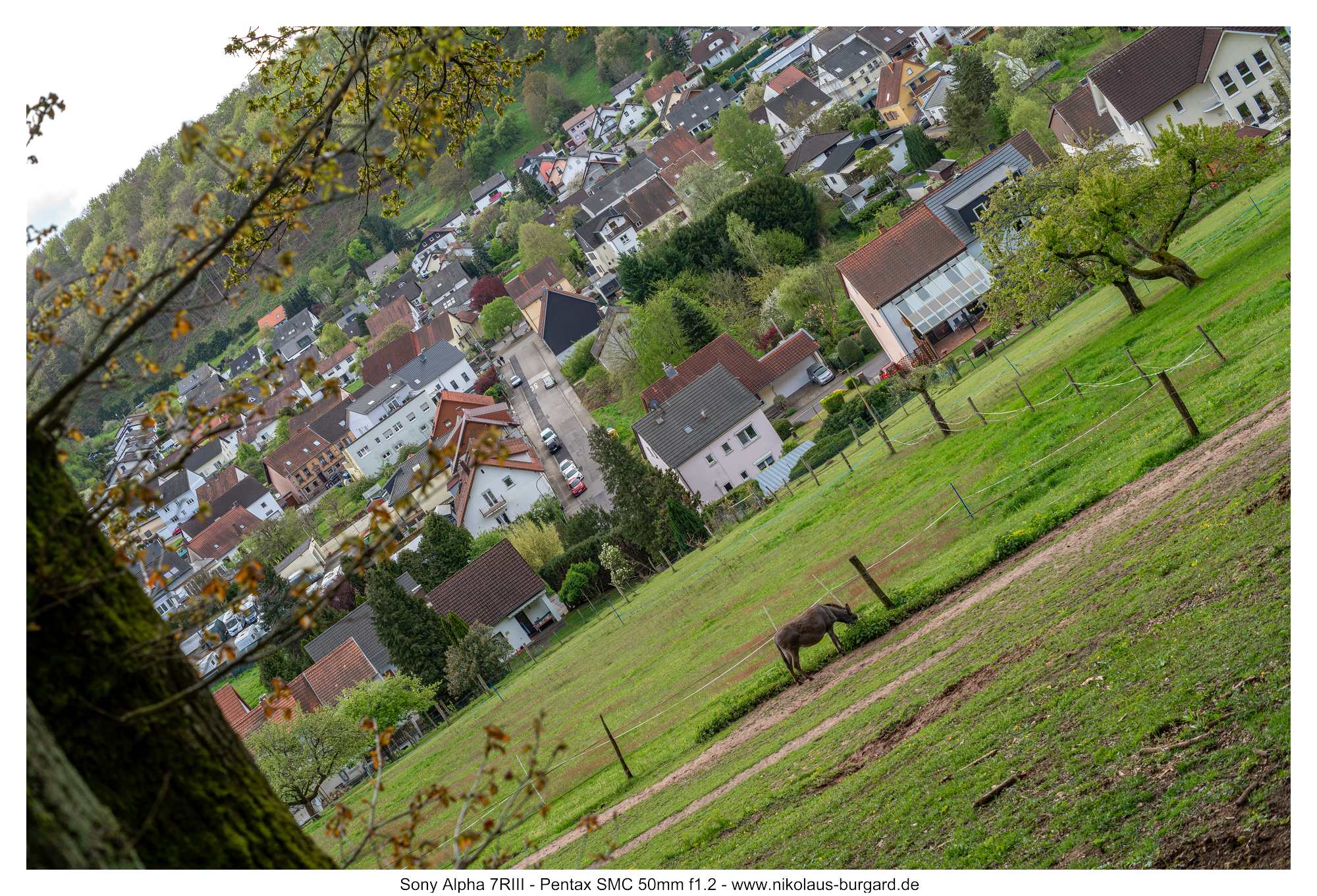 Gesamtbild / Full Picture f8