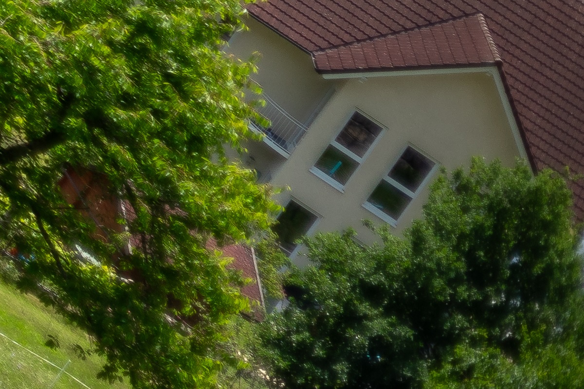 100%-Vergrößerung / 100%-Enlargement f2.8