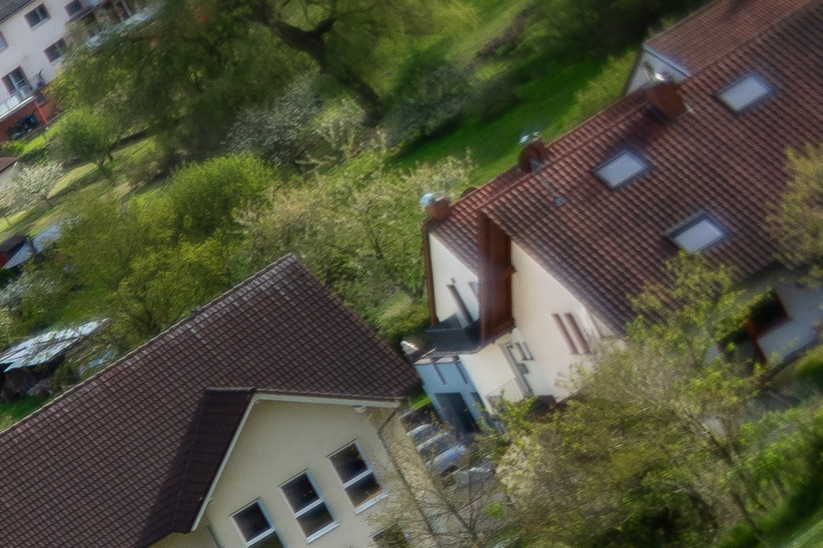 100%-Vergrößerung / 100%-Enlargement f11
