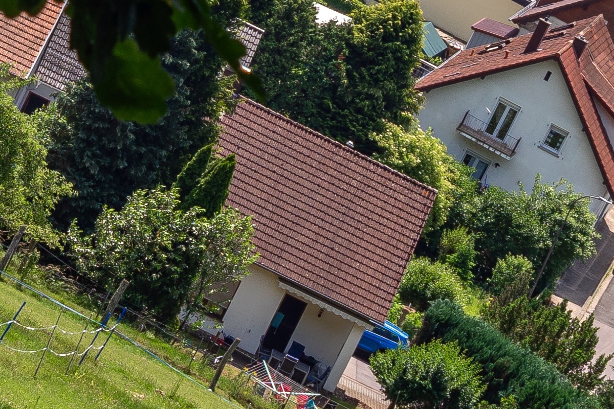 100%-Vergrößerung / 100%-Enlargement f11
