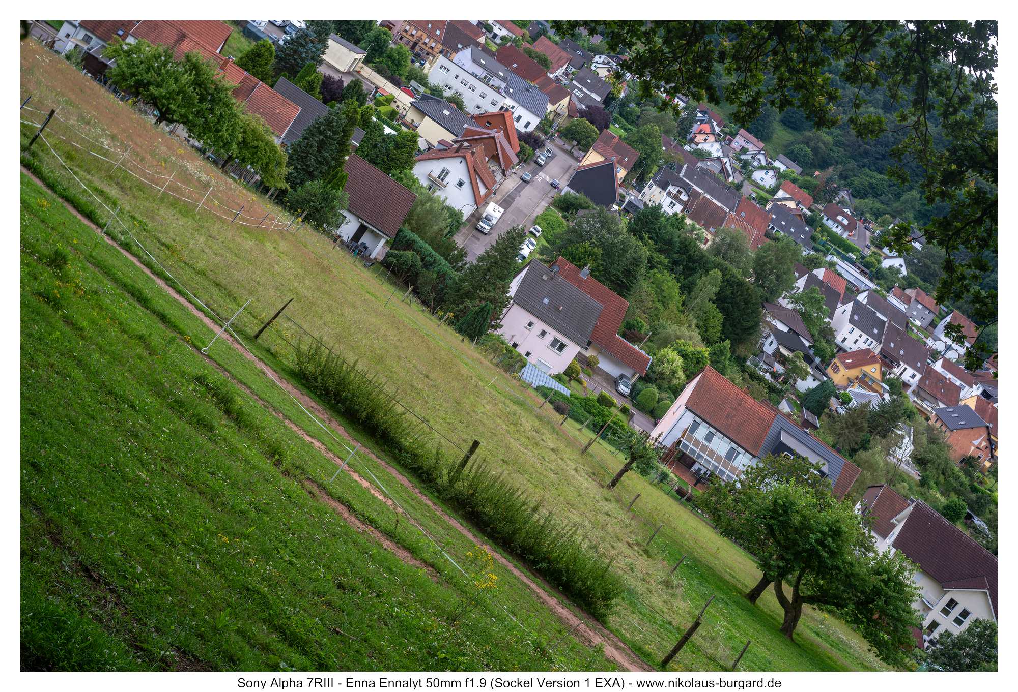Gesamtbild / Full Picture f5.6